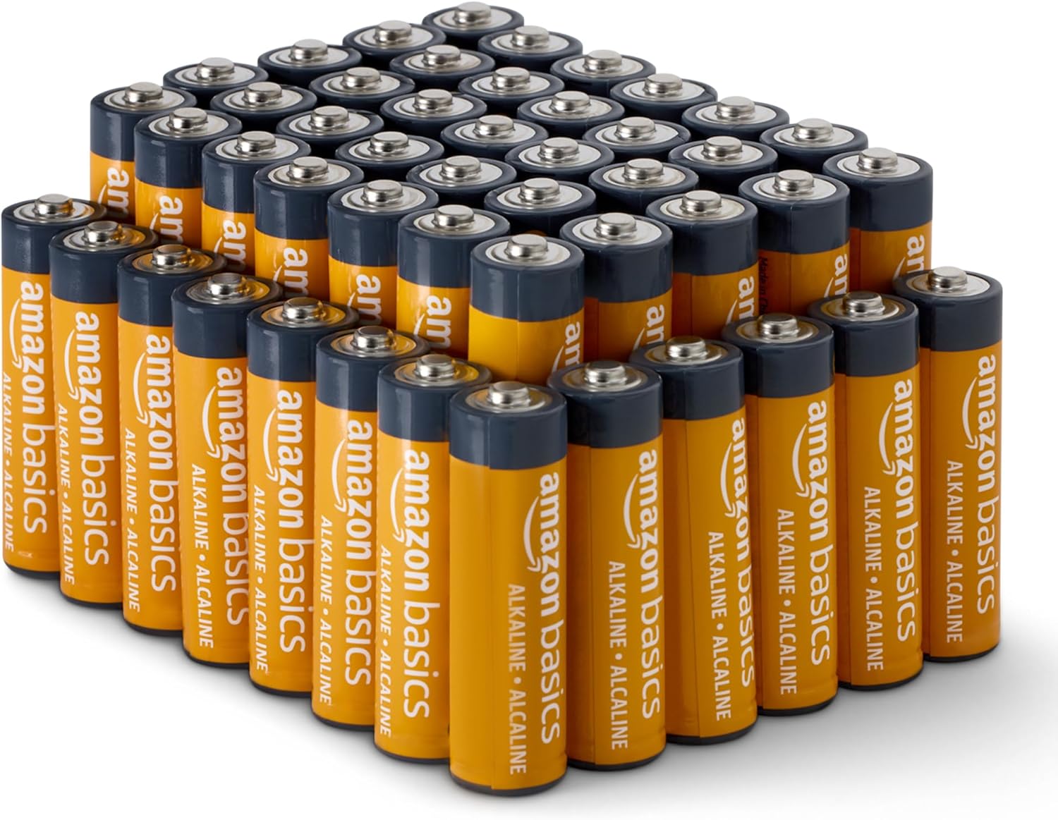 PowerMax AA Battery Pack